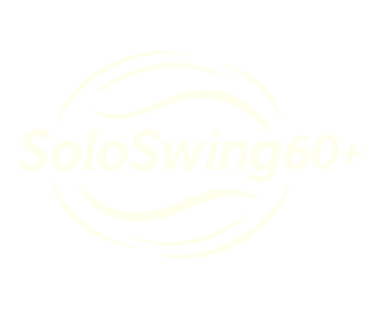 Soloswing60+